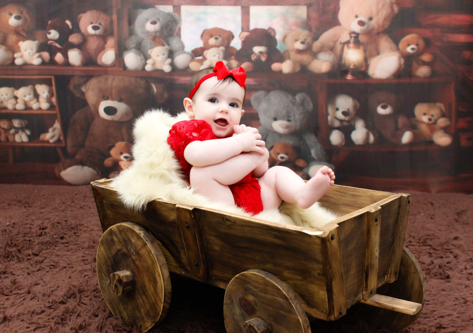 ÁGATHA EMANUELLY 6 MESES 